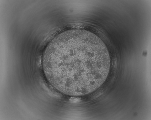 X0000112380602200909241217