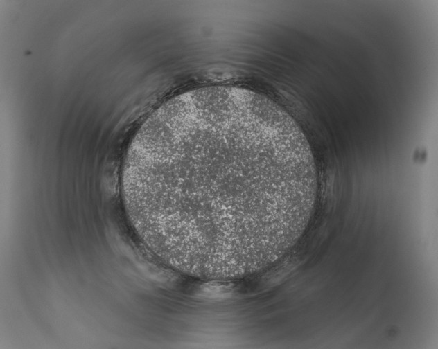 X0000112380606200909241217