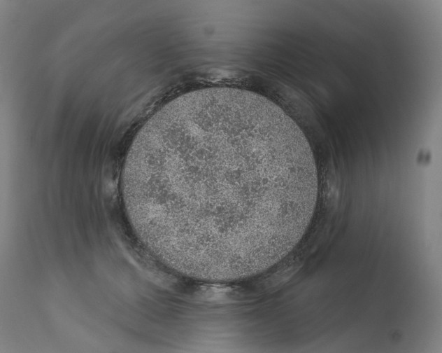 X0000112380607200909241217