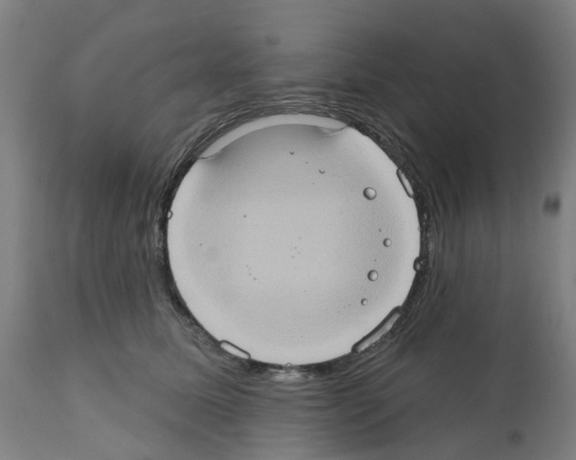 X0000112380611200909241217