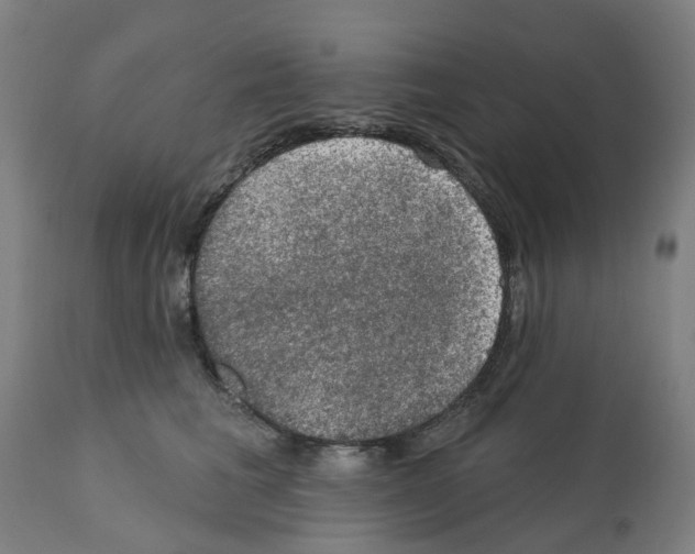 X0000112380613200909241217