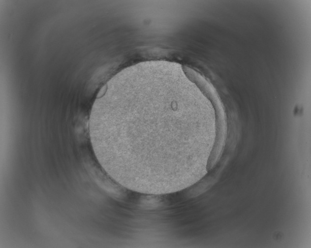 X0000112380624200909241216