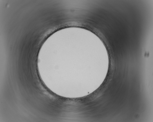 X0000112380625200909241216