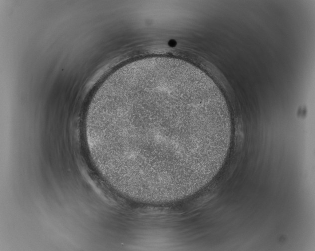 X0000112380626200909241216