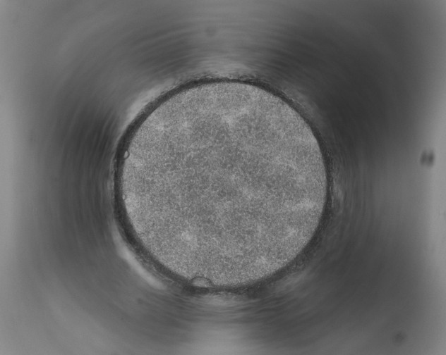 X0000112380630200909241216