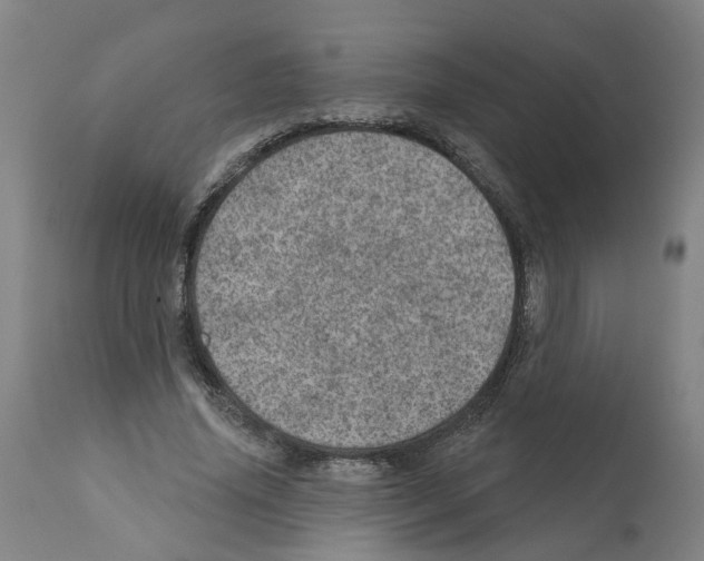 X0000112380636200909241216