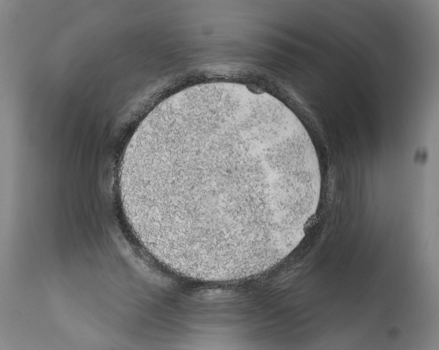 X0000112380637200909241216