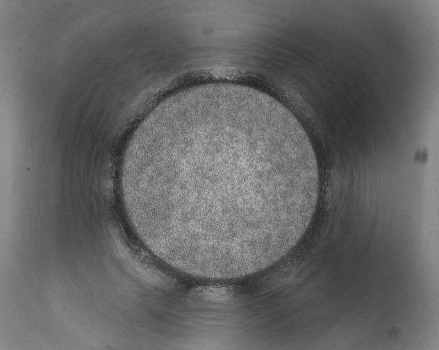 X0000112380639200909241216