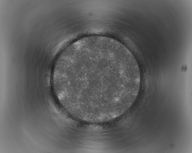 X0000112380640200909241216