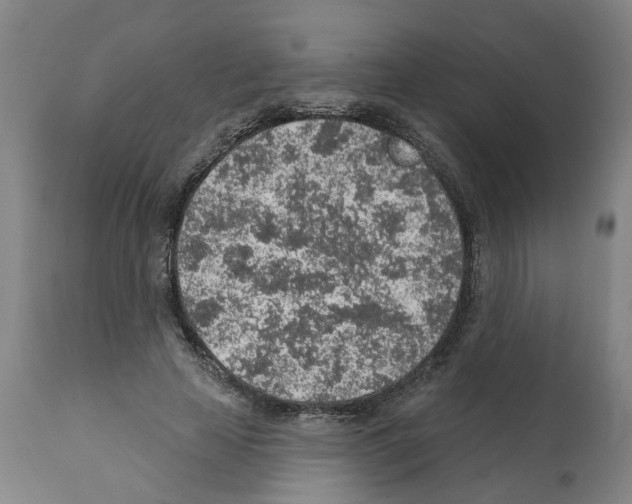 X0000112380641200909241216