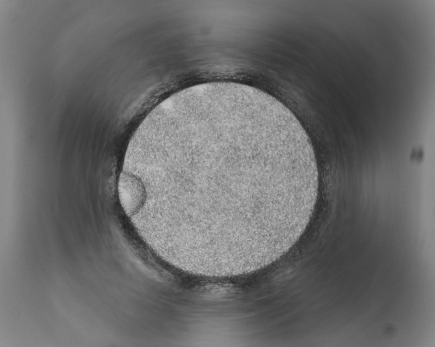 X0000112380642200909241216