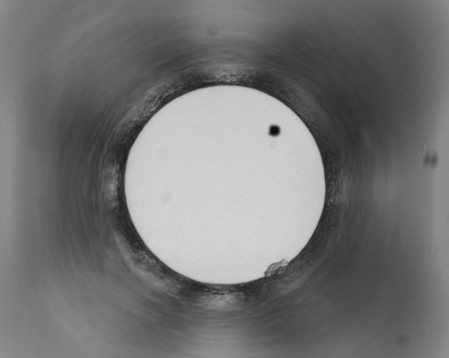 X0000112380646200909241216