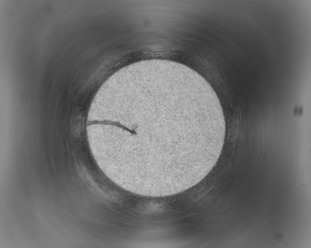 X0000112380647200909241216