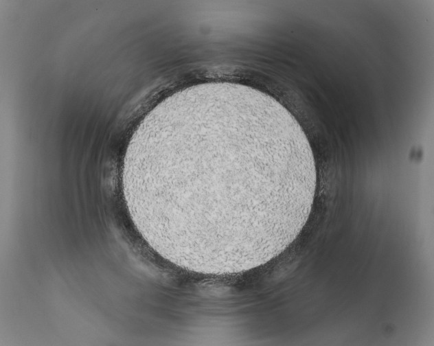 X0000112380648200909241216