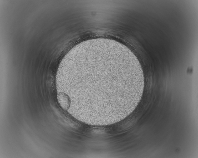 X0000112380653200909241216