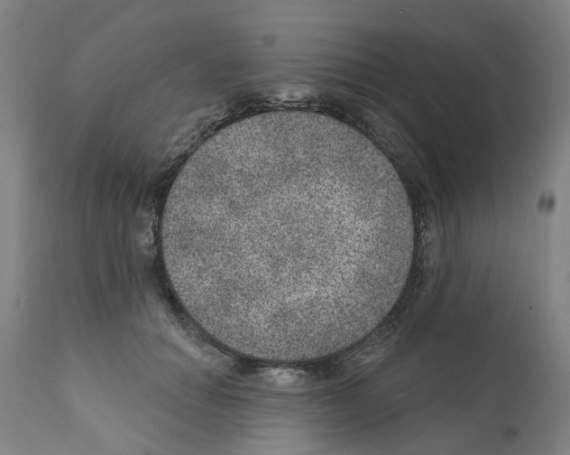 X0000112380654200909241216