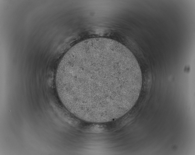 X0000112380656200909241216