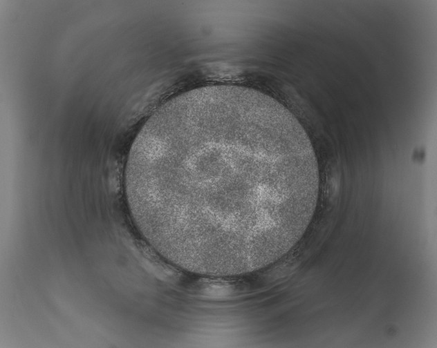 X0000112380658200909241216