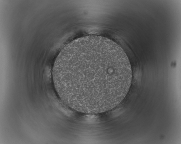 X0000112380667200909241216