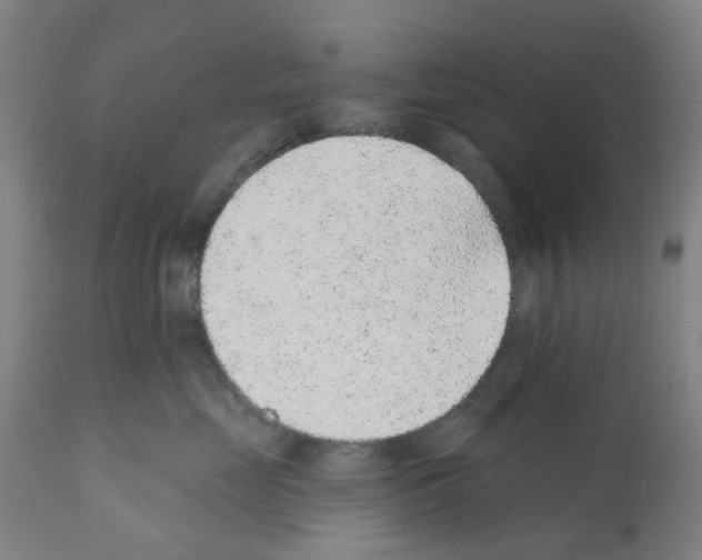 X0000112380669200909241216