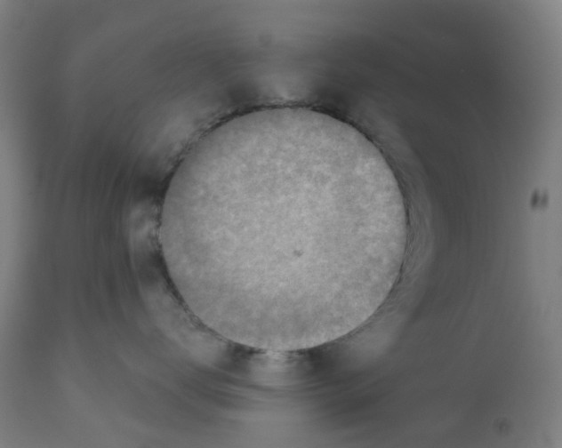 X0000112380672200909241216