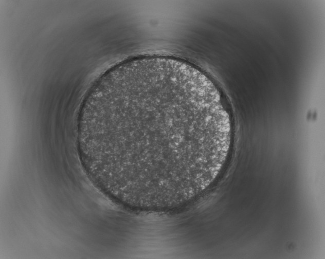 X0000112380673200909241216