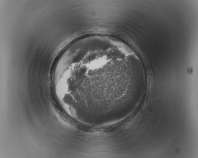 X0000112380674200909241216