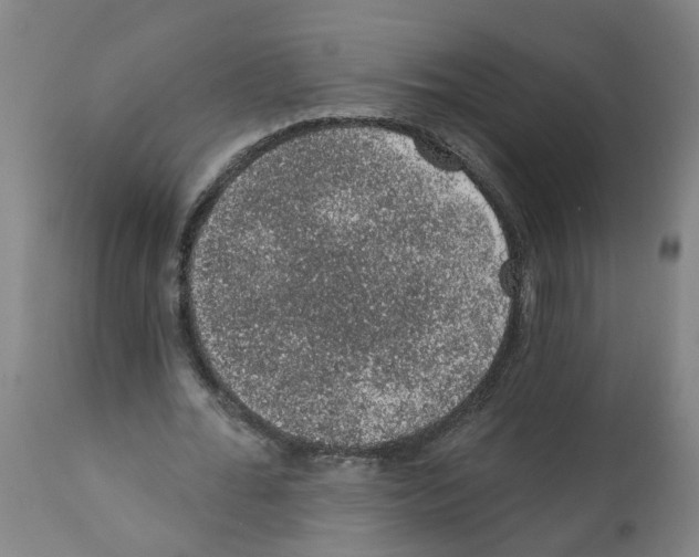 X0000112380676200909241216