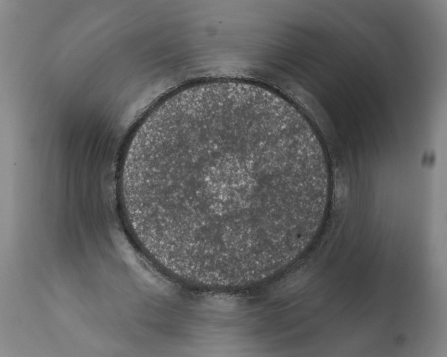 X0000112380677200909241216