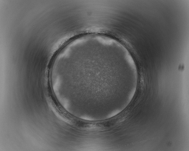 X0000112380678200909241216