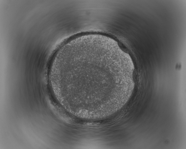 X0000112380680200909241216