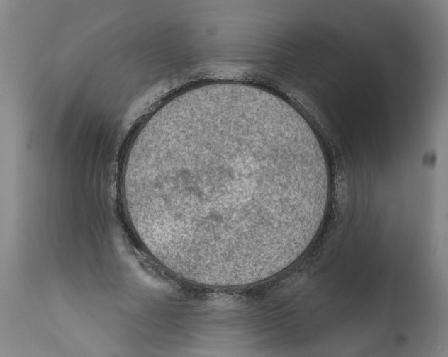 X0000112380682200909241216