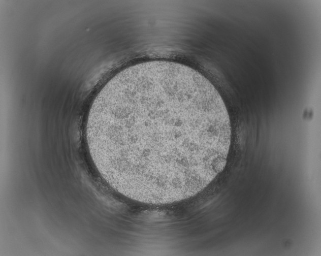 X0000112380687200909241215