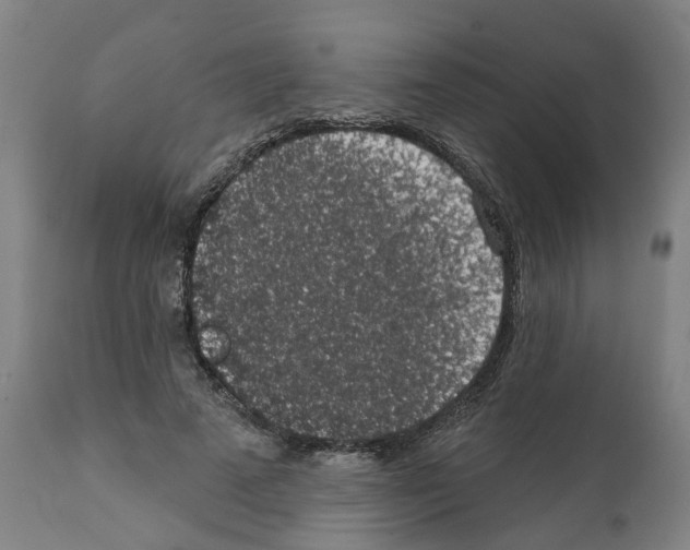 X0000112380689200909241215