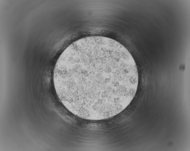 X0000112380691200909241215