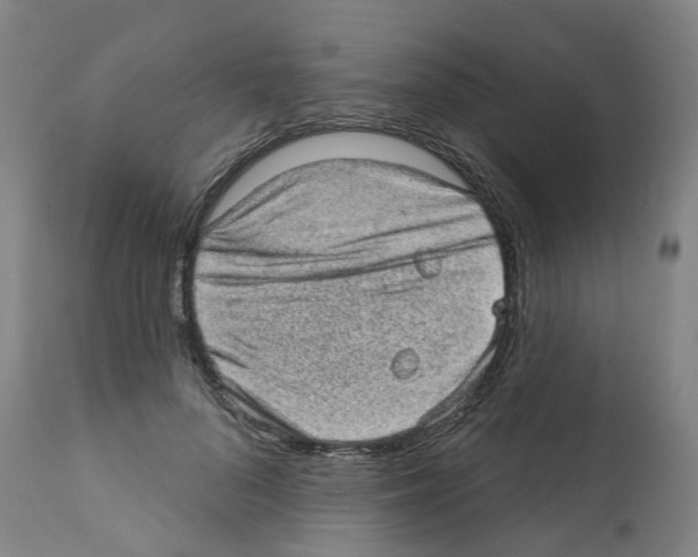 X0000112380696200909241215