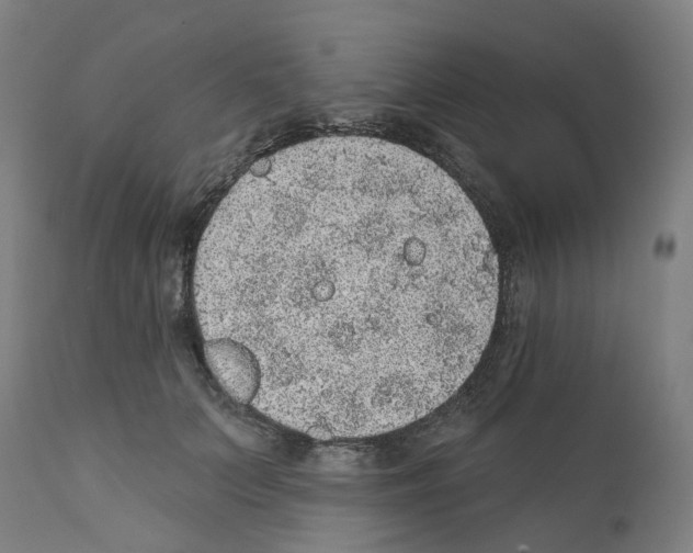 X0000112380703200909241215