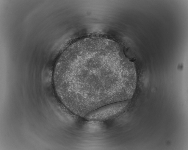 X0000112380708200909241215