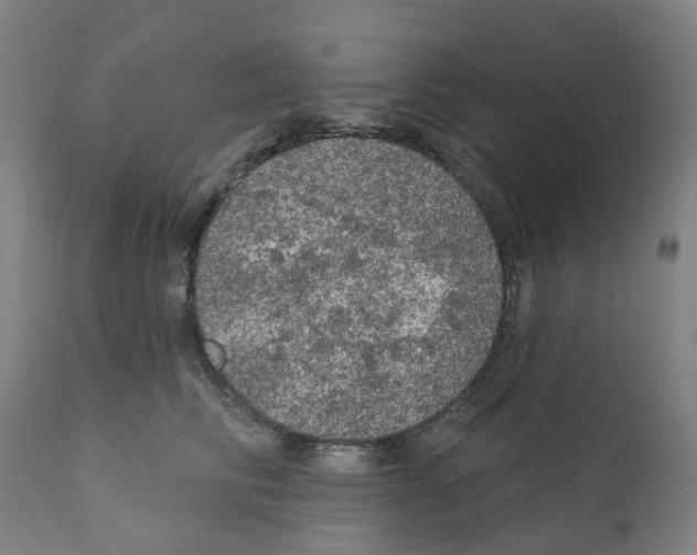 X0000112380710200909241215