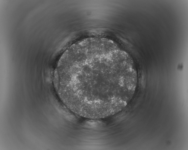 X0000112380712200909241215