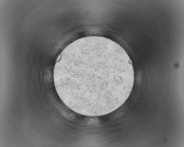 X0000112380715200909241215