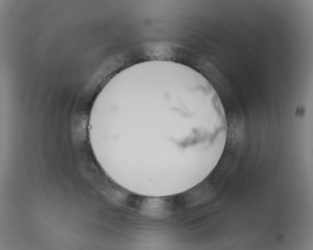 X0000112380717200909241215