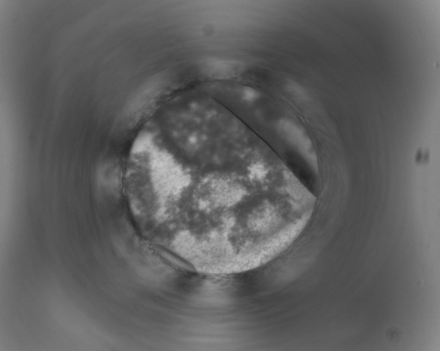 X0000112380720200909241215