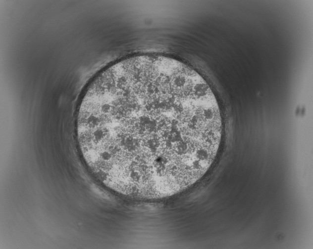 X0000112380721200909241214