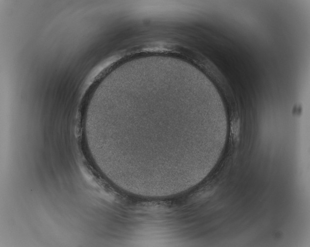 X0000112380724200909241214