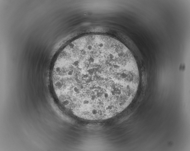 X0000112380725200909241214