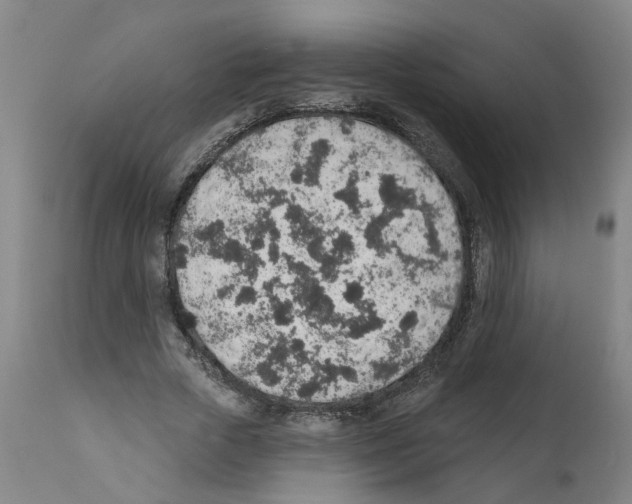 X0000112380729200909241214