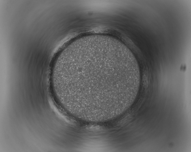 X0000112380730200909241214