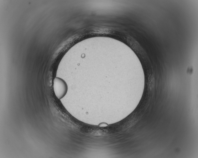 X0000112380731200909241214