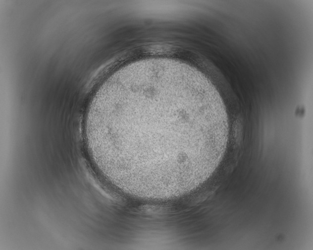 X0000112380733200909241214